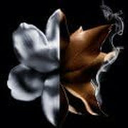 V2HAC403B0B2B0E48E6D9CD8D7E4F9A679ER6239984P6