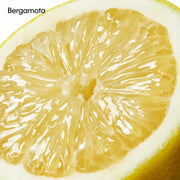 V2H12E8A2344C2E2068B9EB16E390389952R5672458P10